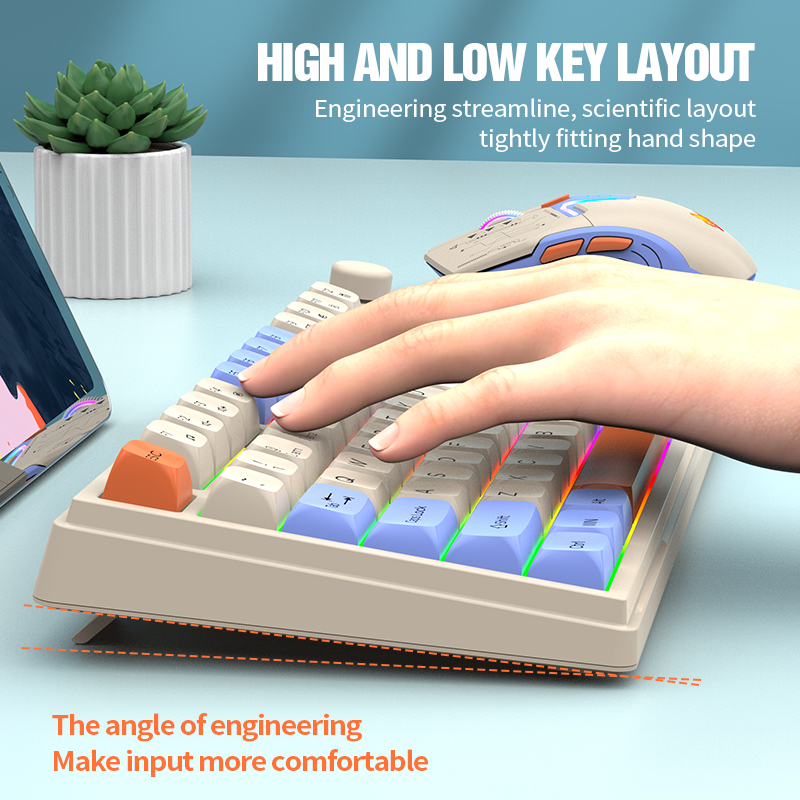 New Dual-Mode 80 Keys Wireless – Gaming Keyboard Ergonomics Bewertung und Preis